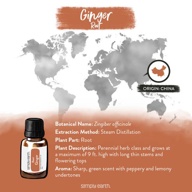 Ginger Root Essential Oil 15ml